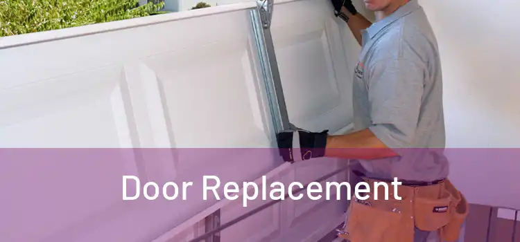  Door Replacement 